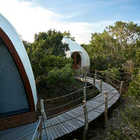 Wild Coast Tented Lodge Yala Exteriör bild